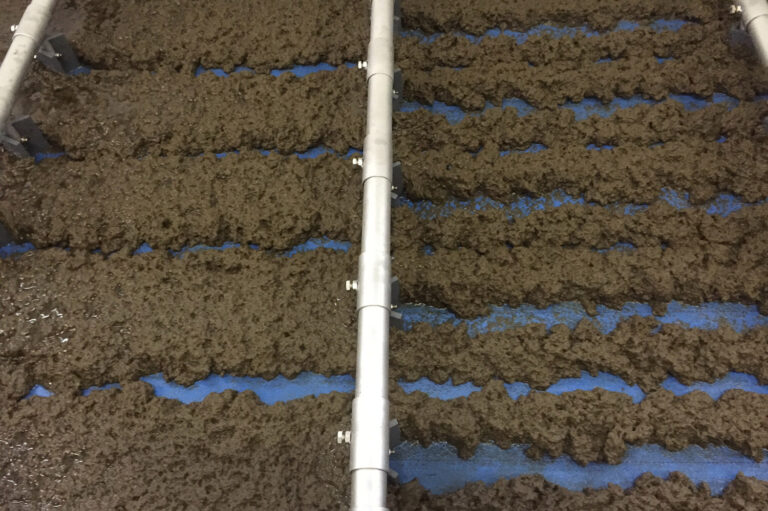 Eingedickter Schlamm auf Filterband